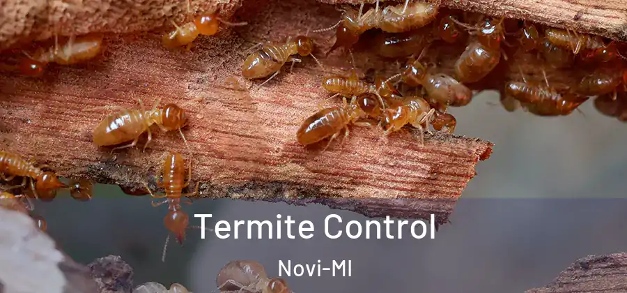 Termite Control Novi-MI
