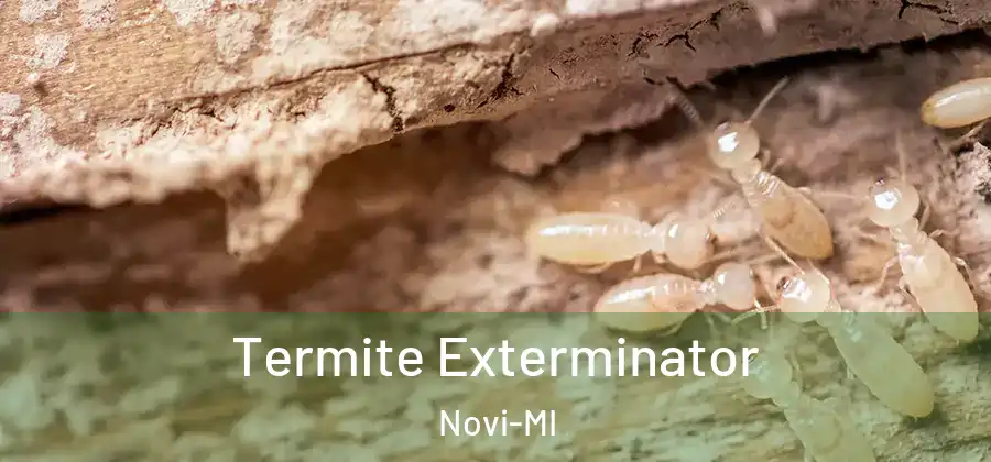 Termite Exterminator Novi-MI