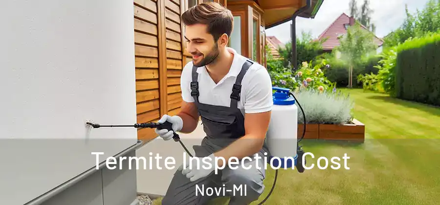 Termite Inspection Cost Novi-MI