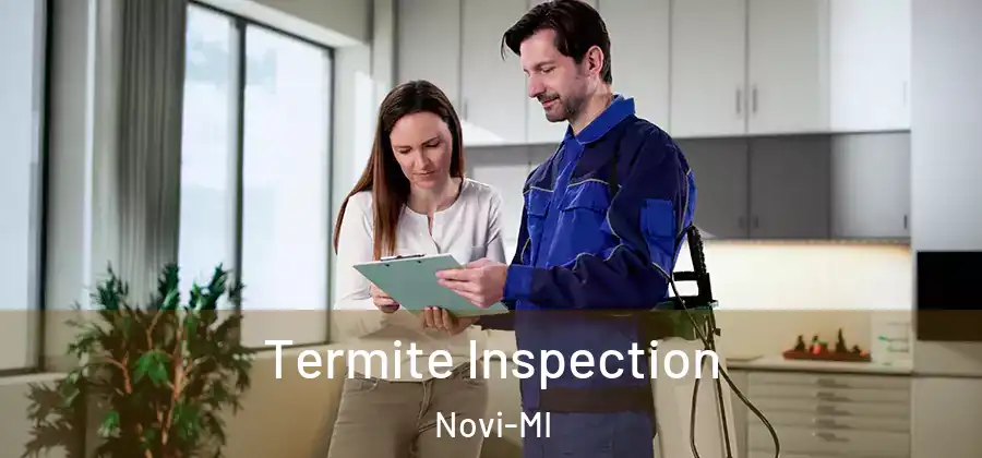 Termite Inspection Novi-MI