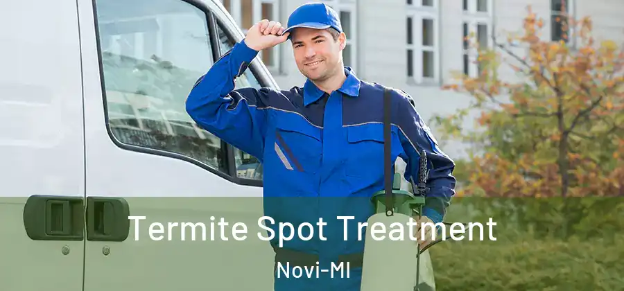  Termite Spot Treatment Novi-MI
