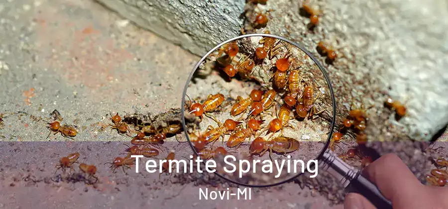 Termite Spraying Novi-MI