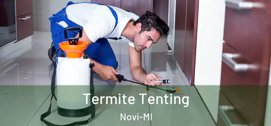 Termite Tenting Novi-MI