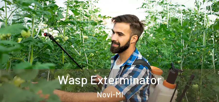 Wasp Exterminator Novi-MI