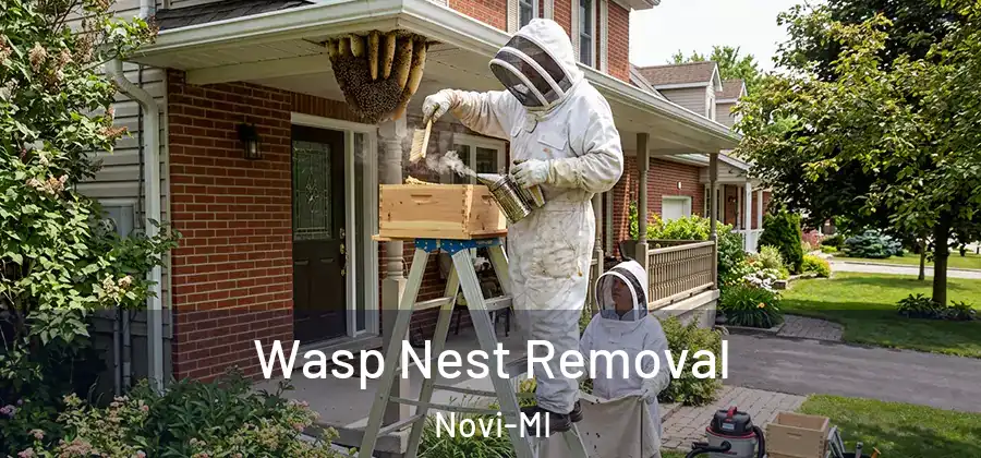 Wasp Nest Removal Novi-MI