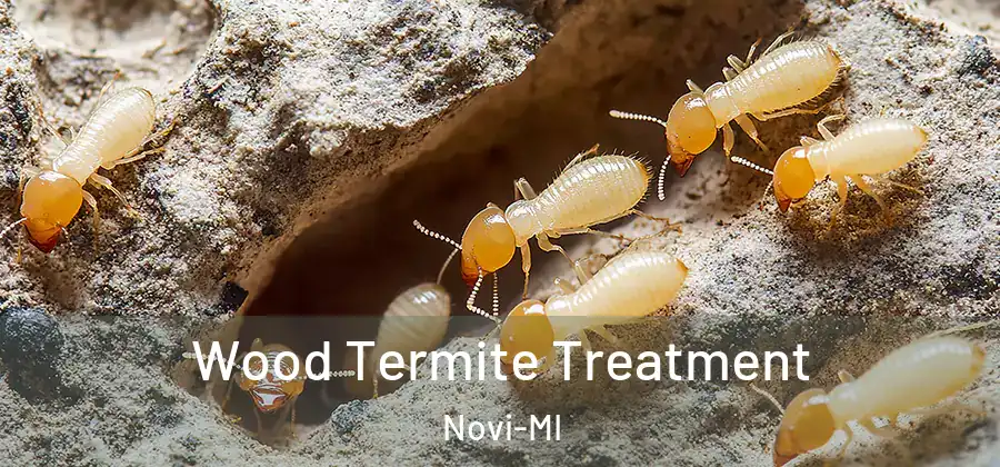 Wood Termite Treatment Novi-MI